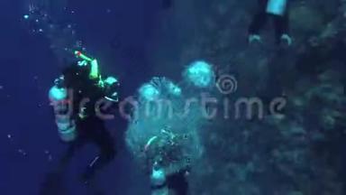 埃及，MarsaAlam，AbuDabab-2019年3月13日：潜水员的<strong>气泡</strong>在水中闪闪发光。 水肺的<strong>气泡</strong>